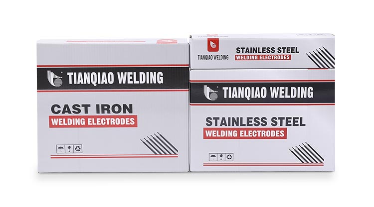 SS and cast iron electrode